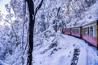 shalender on Shutterstock.com : Heavy snowfall hits Shimla