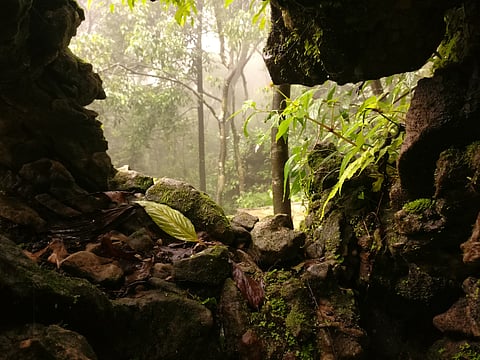 The Mawsmai Cave in Cherrapunji