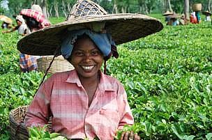 For representational purpose only