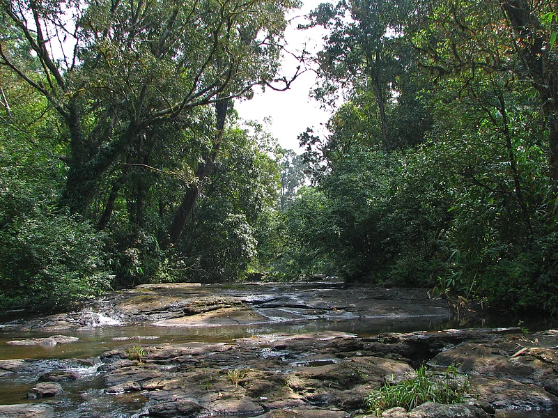 Periyars core area is known for its rich and well-maintained biodiversity