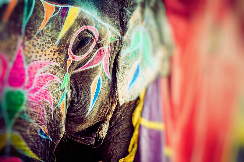 Painted elephant at Jaipur
