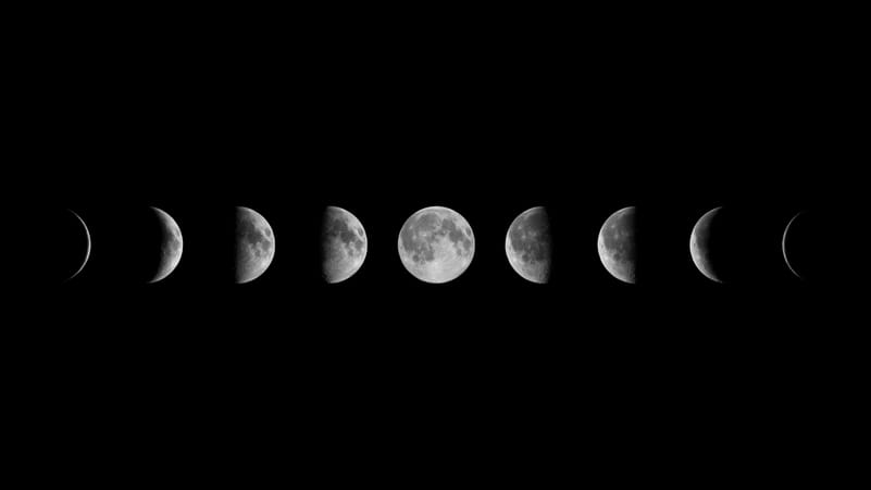 Mono no aware encourages the appreciation of the world around us and how it will all fade away sooner or later