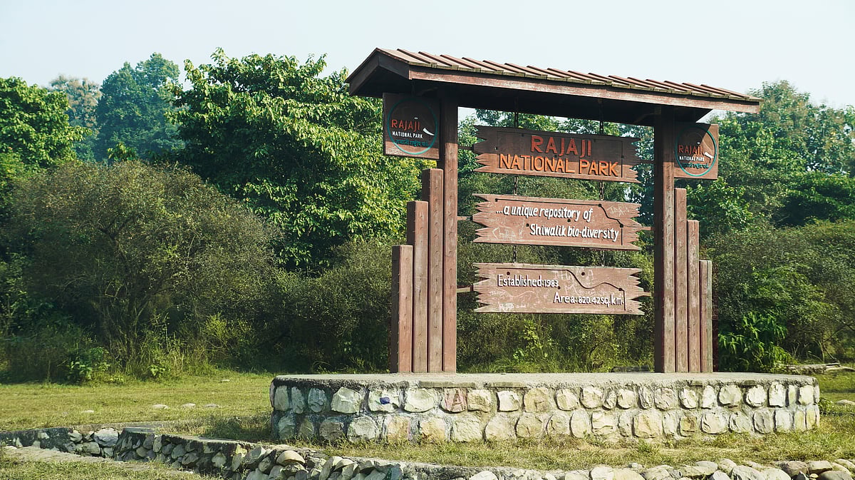 Rajaji National Park still feels raw and unpolished in the best way