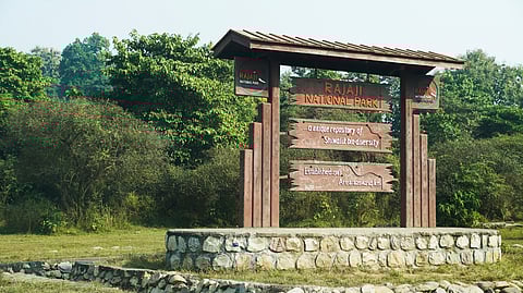 Rajaji National Park still feels raw and unpolished in the best way