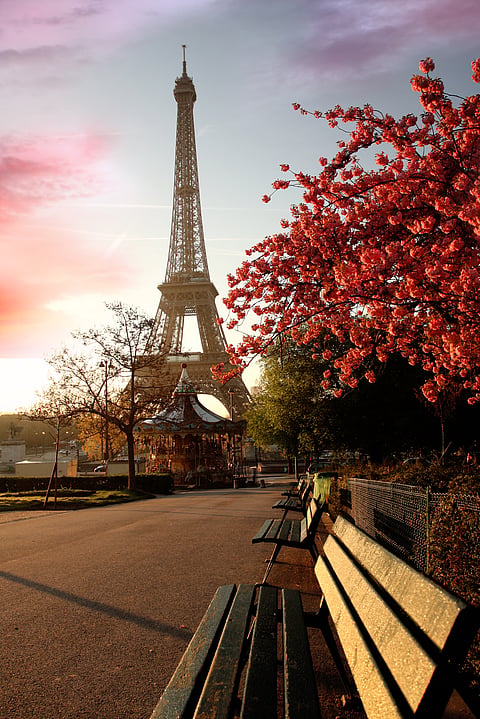 Spring morning with Eiffel Tower, Paris, France