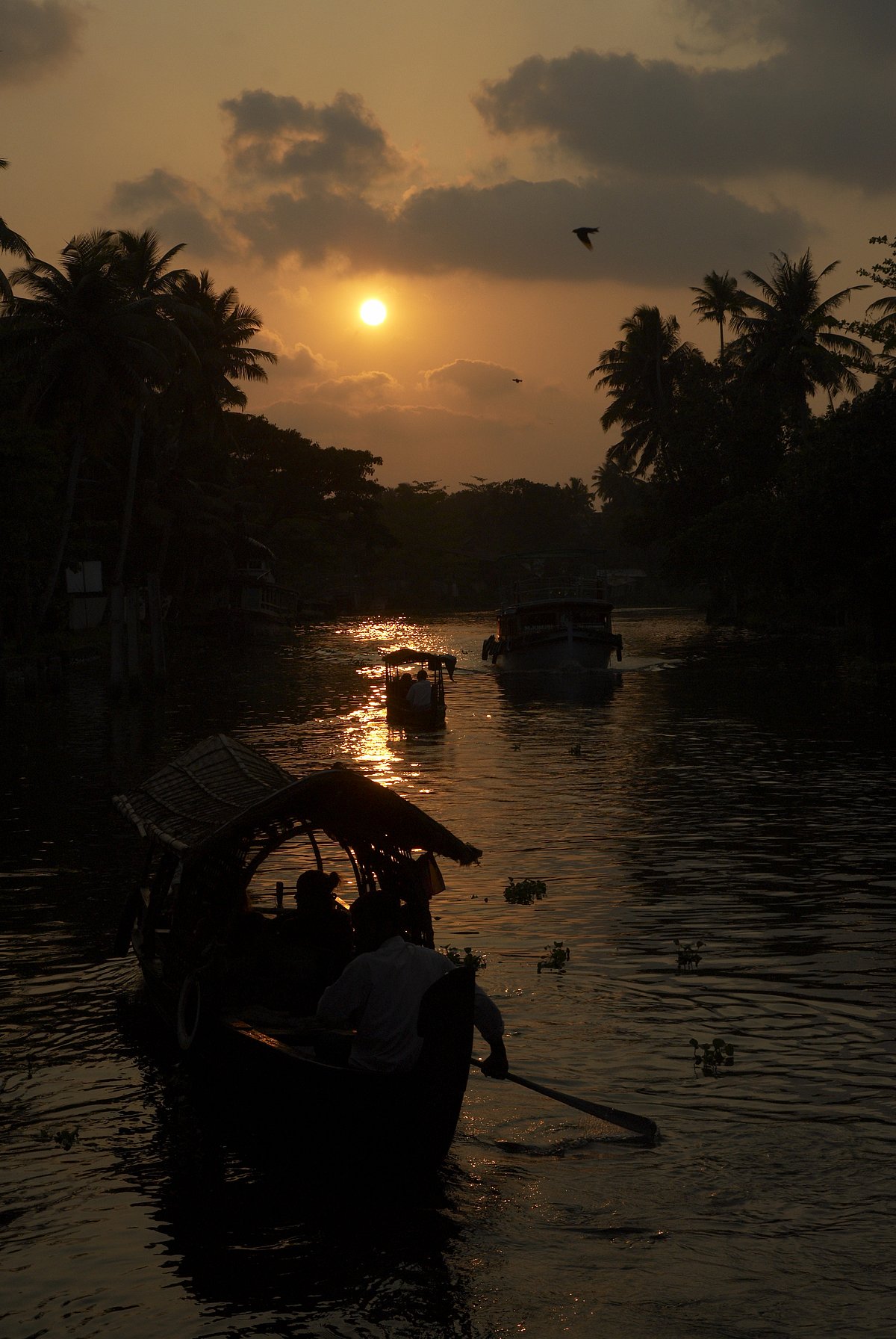 Shutterstock : A view of Kerala backwaters