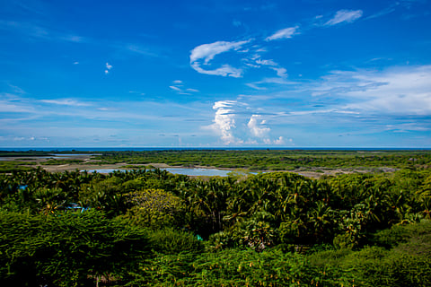 Mount Gandhamadana is the tallest peak of Pamban island