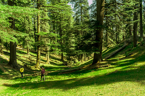 Hiking through the forests in Kalatop Wildlife Sanctuary