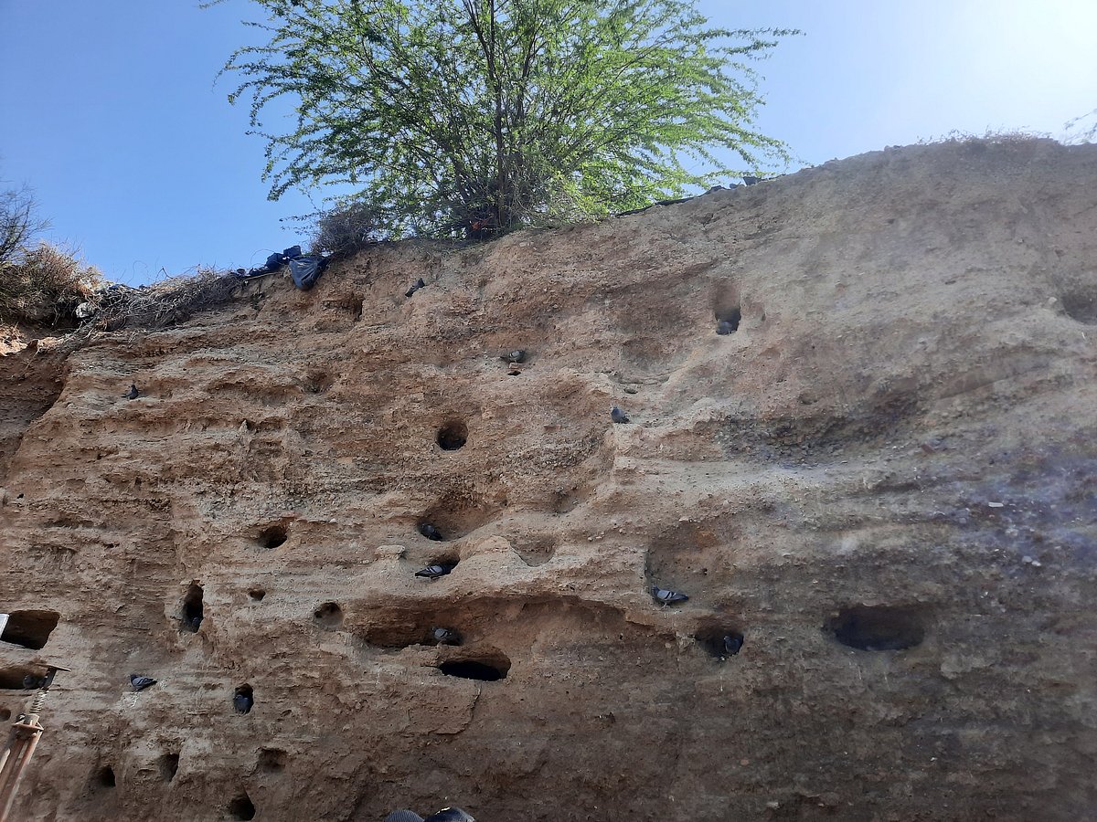 A view of the Parrot Wall