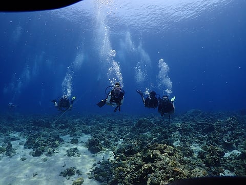 The best time to visit the Andaman and Nicobar Islands is from October to April