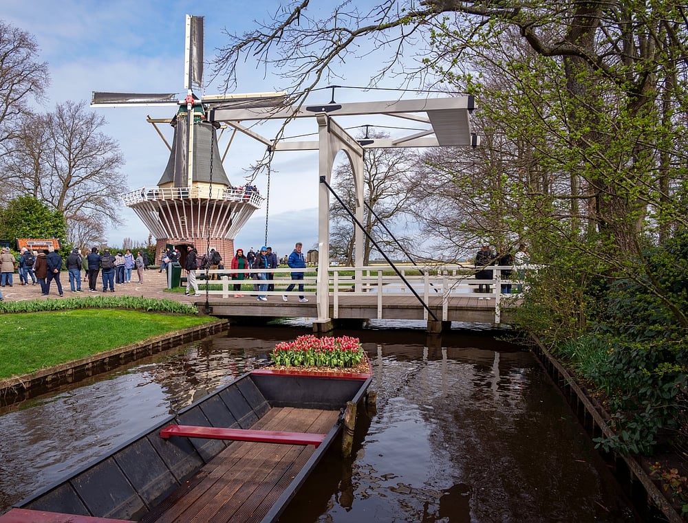 Dutch windmill and colourful tulips in spring at Keukenhof