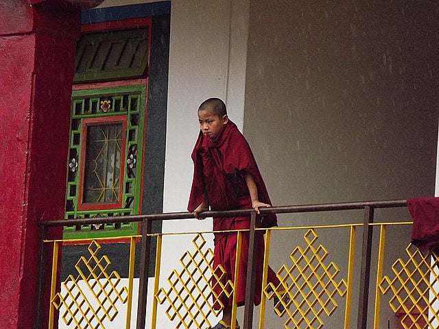 A young monk at Rumtek Monastery