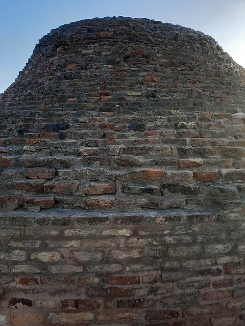 Close-up of the flat-bricked wall at Agroha Mound