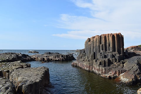 A close-up of the hexagonal basalt rock formations at Coconut Island