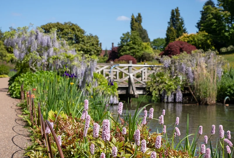 Lois GoBe/Shutterstock