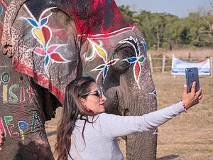 Daniel Requena Lambert/Shutterstock.com : Violators taking selfies with wild animals in Odisha now face the threat of arrest and up to seven years of imprisonment