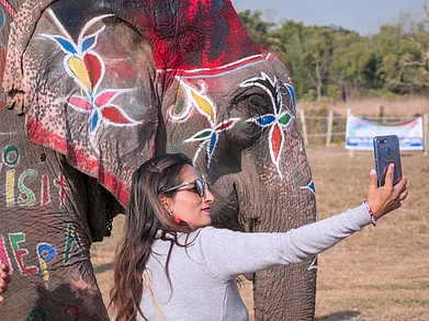 Daniel Requena Lambert/Shutterstock.com : Violators taking selfies with wild animals in Odisha now face the threat of arrest and up to seven years of imprisonment