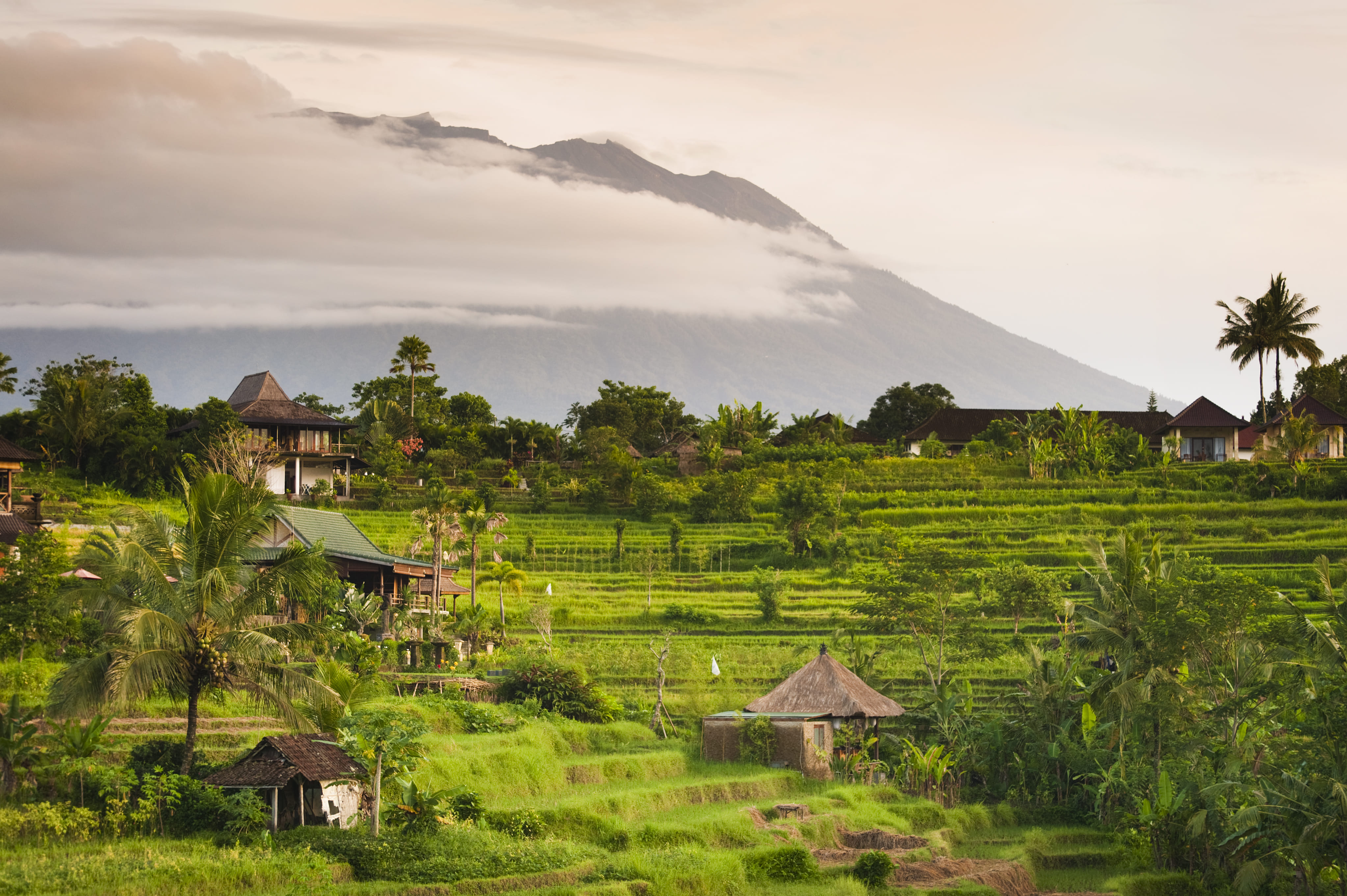 Sidemen offers beautiful views of miles and miles of rice fields
