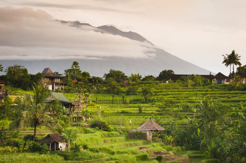 Sidemen offers beautiful views of miles and miles of rice fields