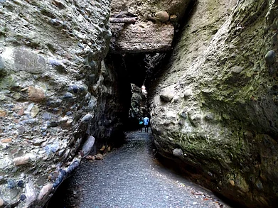 Shutterstock : Inside the natural wonder, Gucchu Paani of Dehradun