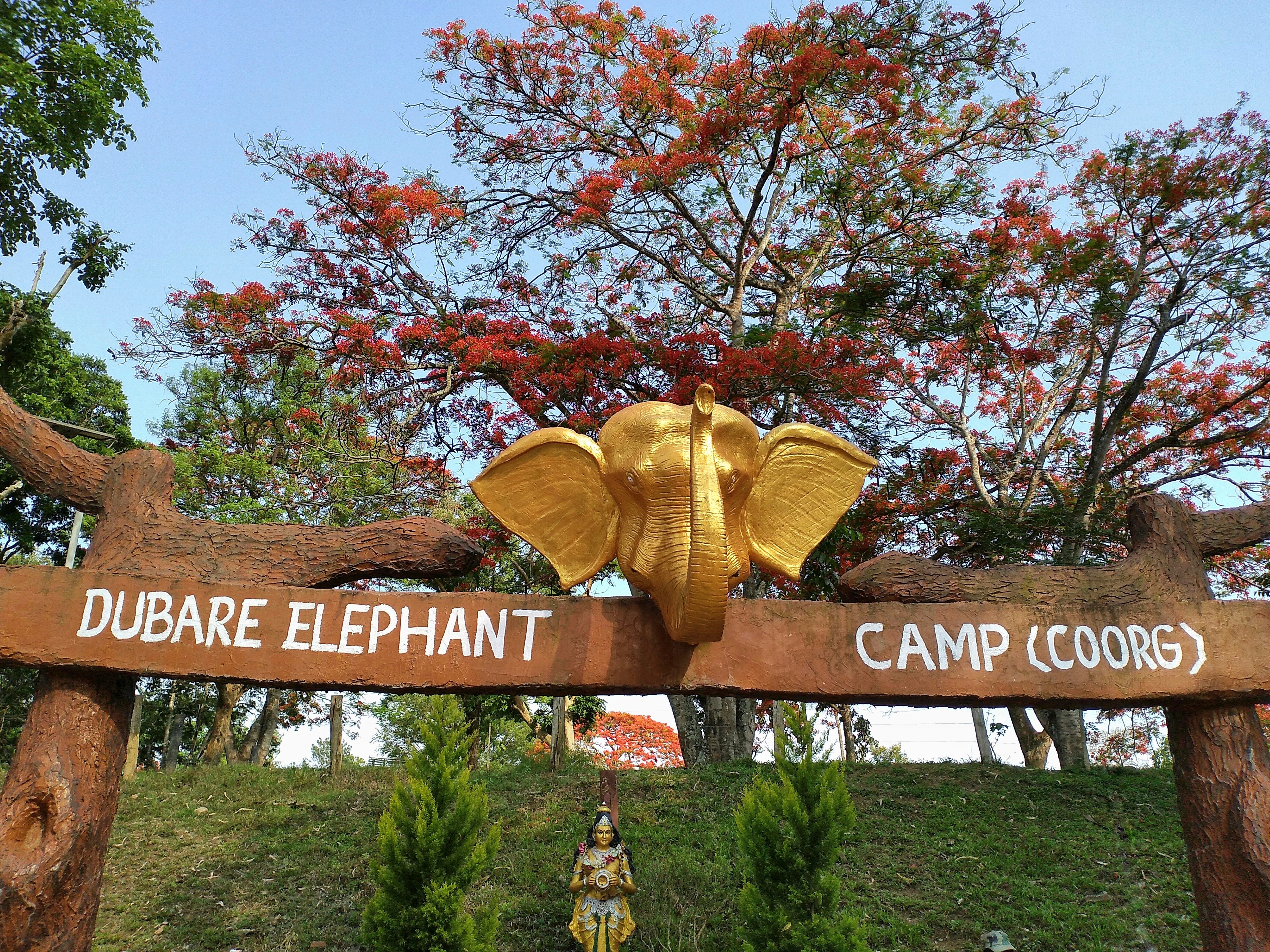 The entry gate to the Dubare Elephant Camp