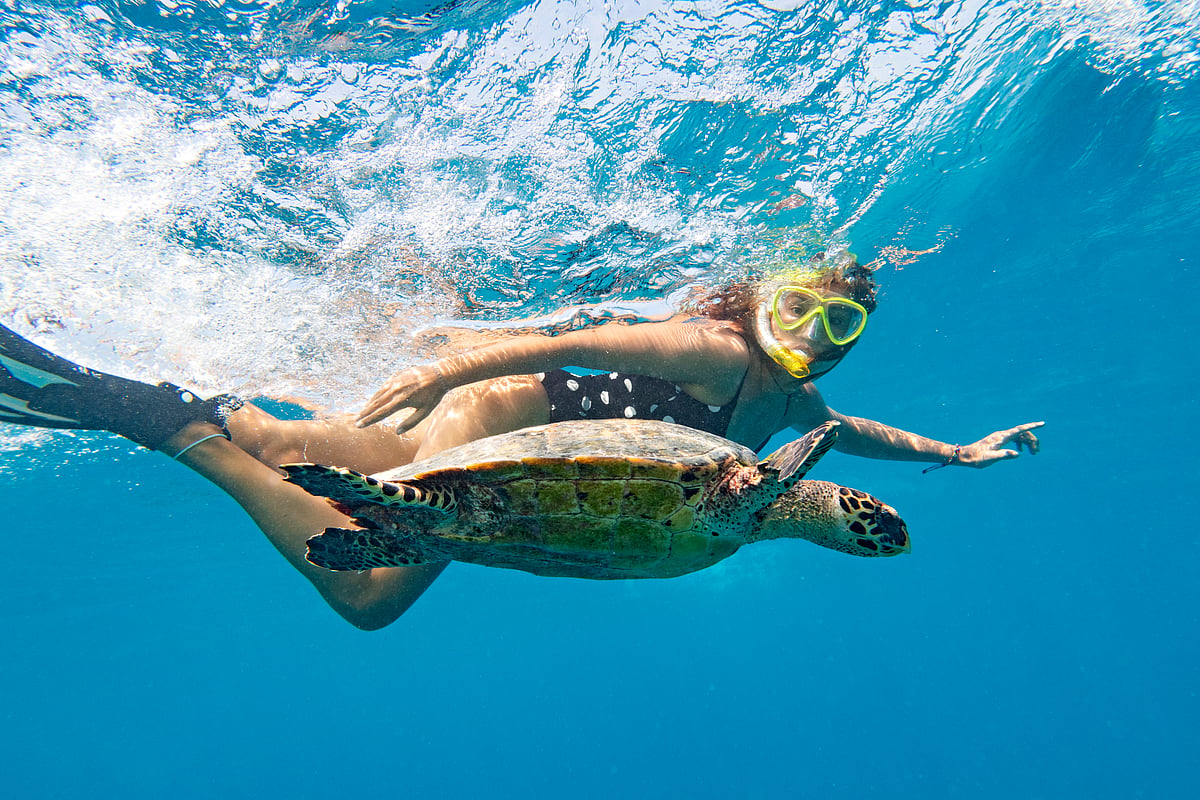 Snorkelling does not require special training or major expenses and is less risky than scuba diving
