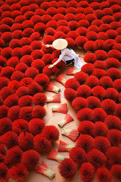 Incense sticks drying outdoor with Vietnamese woman wearing conical hat in Hanoi, Vietnam
