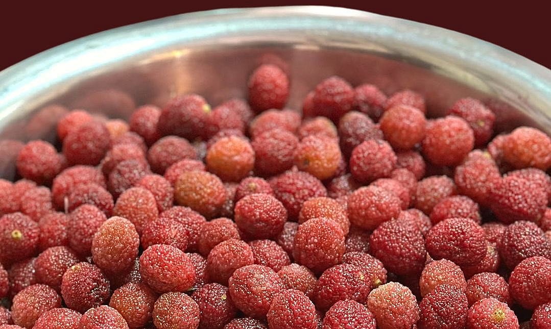 Sohphie Nam, or Bay Berry, is a berry native to the hills of Meghalaya.