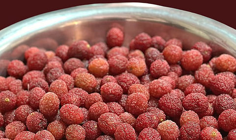 Sohphie Nam, or Bay Berry, is a berry native to the hills of Meghalaya.