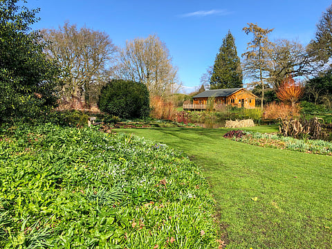 The Beth Chatto Gardens were established from an overgrown wasteland 