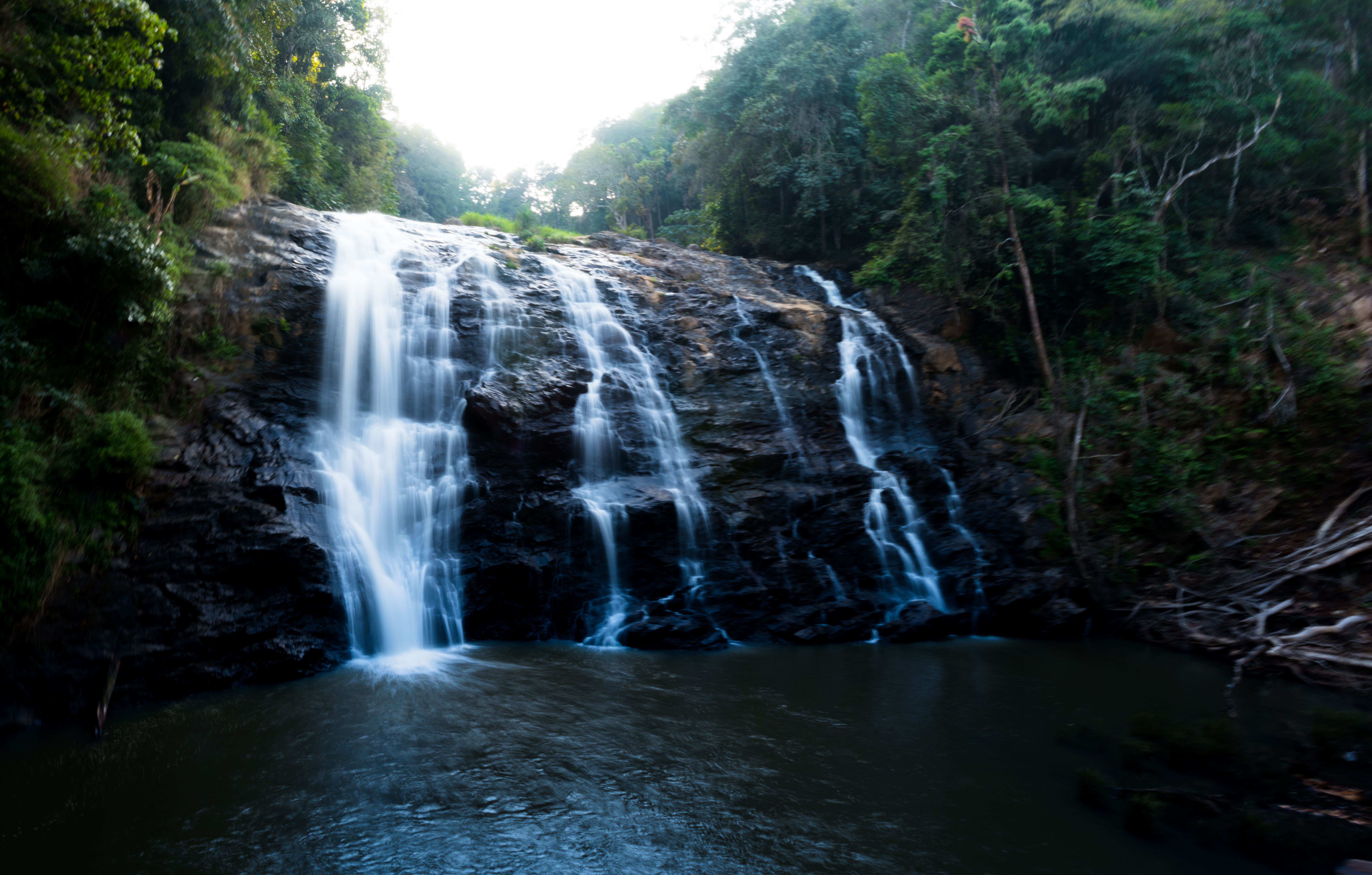 A view of the Abbey Falls