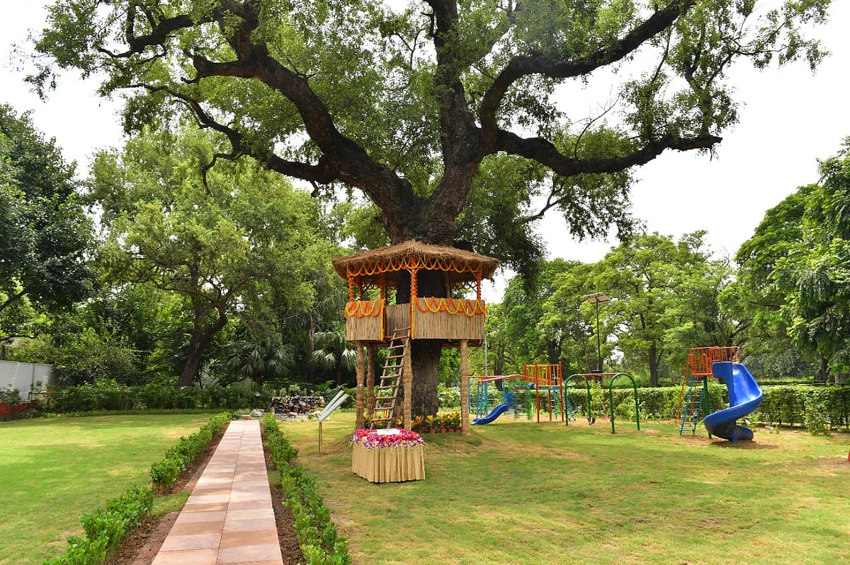 The 225-year-old sheesham tree and treehouse