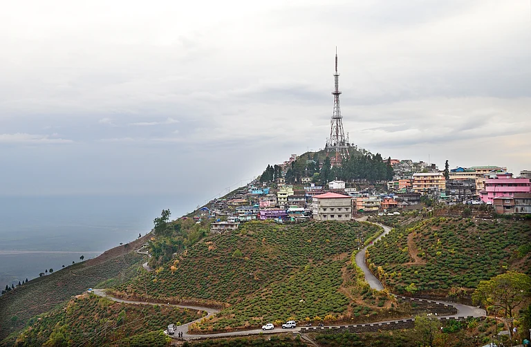 Kurseong is also known as the "Land of White Orchids" - Shutterstock