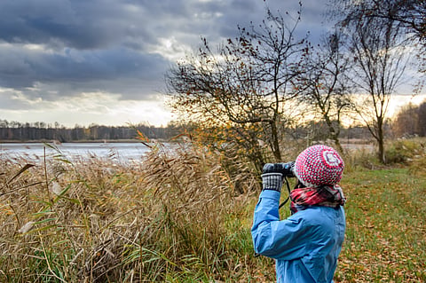 Birdwatching in India