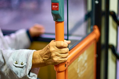 Shikata ga nai relates to accepting our life as it is and working with the reality of things