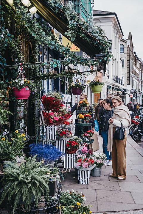 The Fitzroy's Flowers Collection florist in Primrose Hill