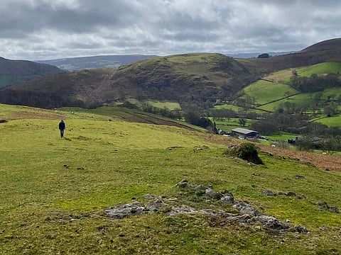 They offer various walks throughout the weekend