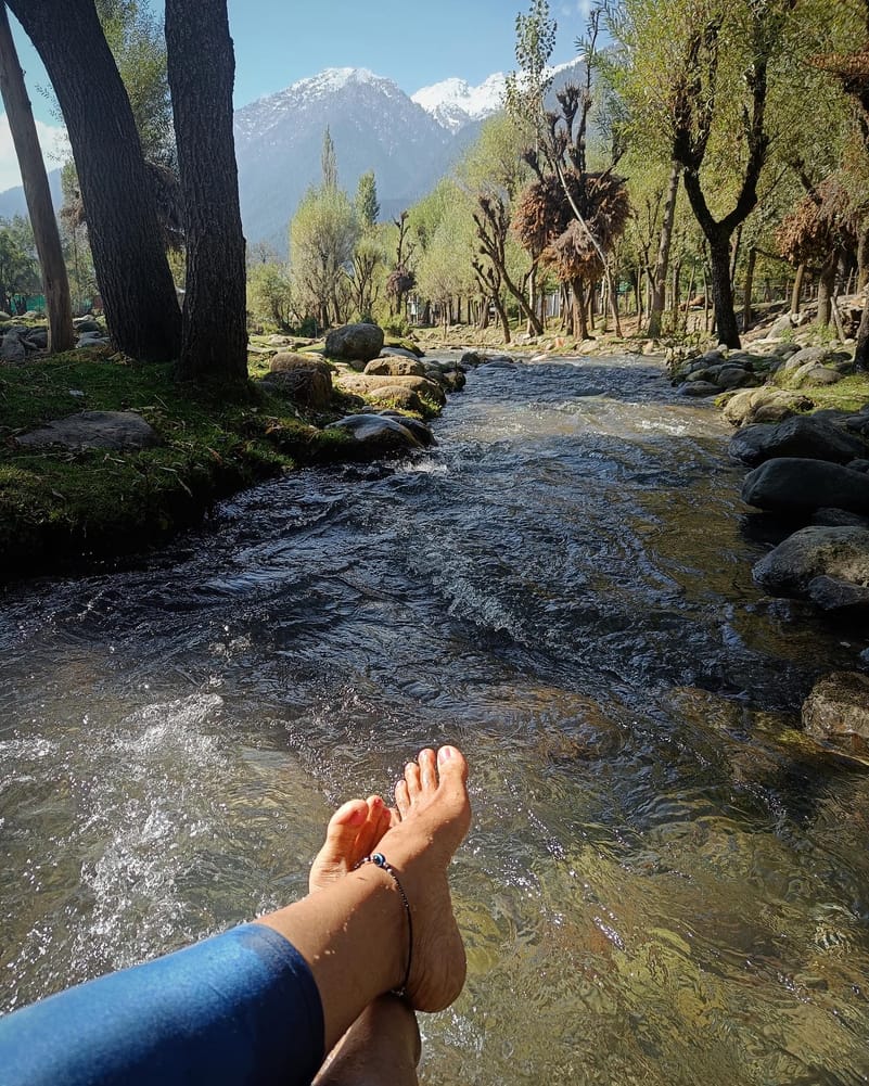 Relaxing in Kashmir