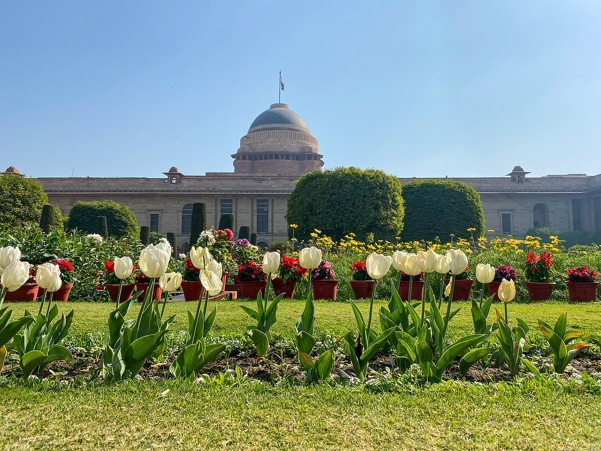A glimpse into the floral beauty of Amrit Udyan