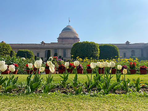 A glimpse into the floral beauty of Amrit Udyan