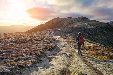 Duncan Andison/Shutterstock : A woman and her dog walking towards the mountain summit of High Spy from Maiden Moor on the Derwent Fells in the Lake District, UK