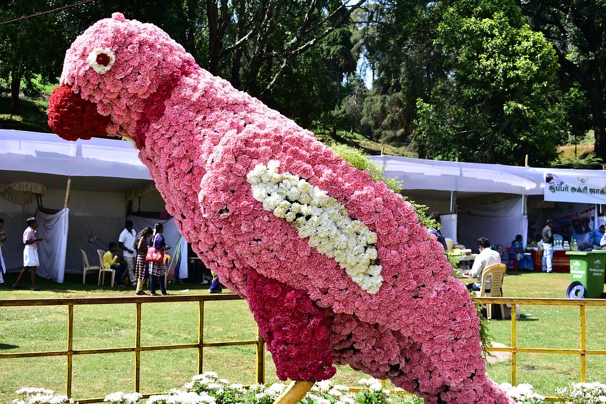 Kodaikanals annual flower show at Bryants Park
