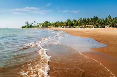 Shutterstock : Morjim beach in Goa