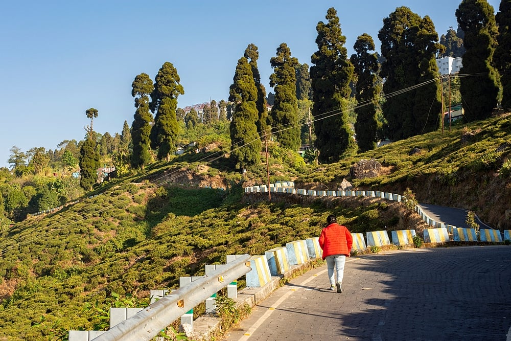 A tranquil afternoon walk along the undulating hills