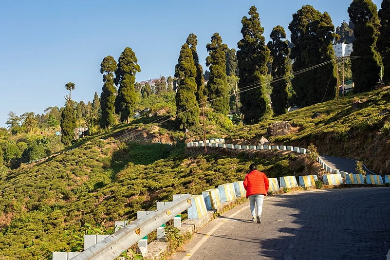 A tranquil afternoon walk along the undulating hills