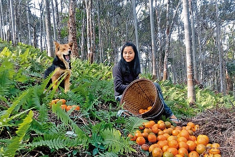 Chef Marak researches and explores traditional Garo recipes