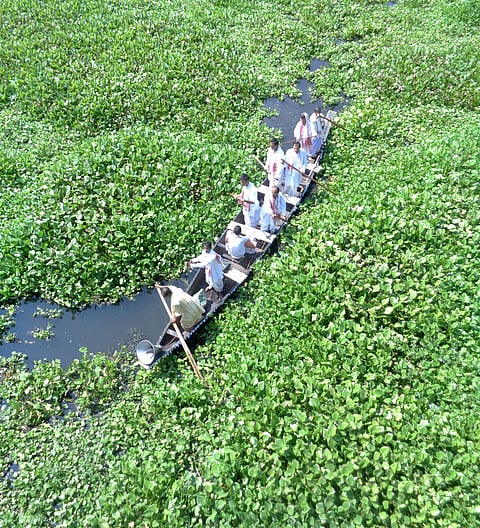 Majuli is a unique riverine delta located on the Brahmaputra River in Assam