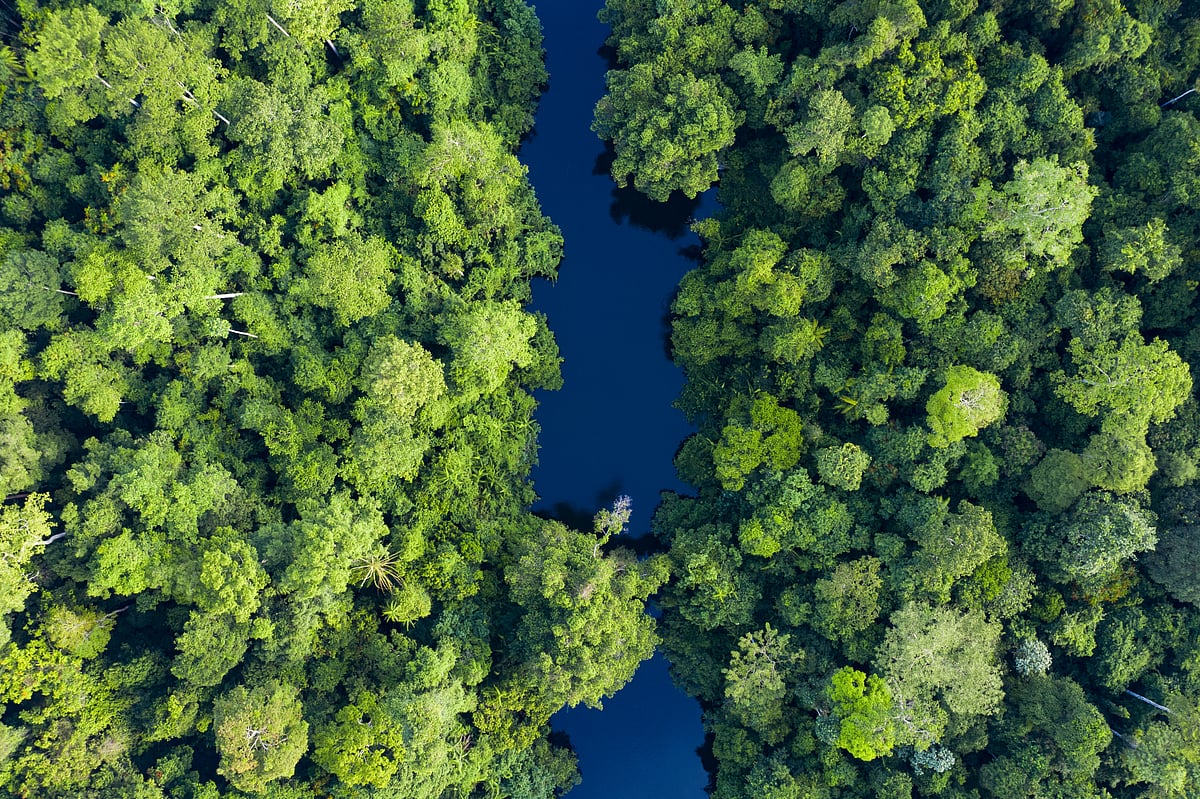 travelwild on Shutterstock.com : Sungai Tembeling River flowing through Taman Negara National Park