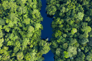 travelwild on Shutterstock.com : Sungai Tembeling River flowing through Taman Negara National Park