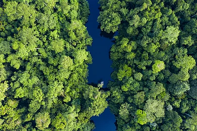 travelwild on Shutterstock.com : Sungai Tembeling River flowing through Taman Negara National Park